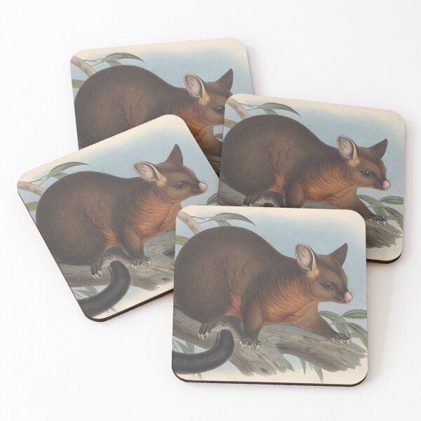 Artikelvorschau, Possum illustration Australian animals series entworfen und verkauft von Vintage Designs +.