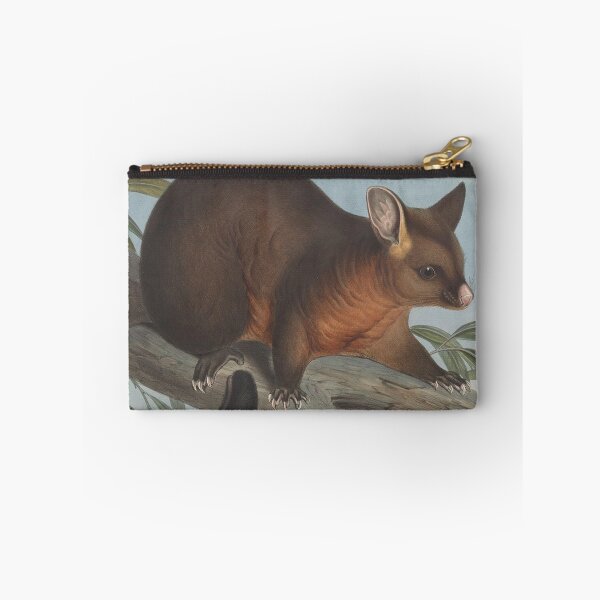 Item preview, Possum  illustration Australian animals series designed and sold by Vintage Designs +.