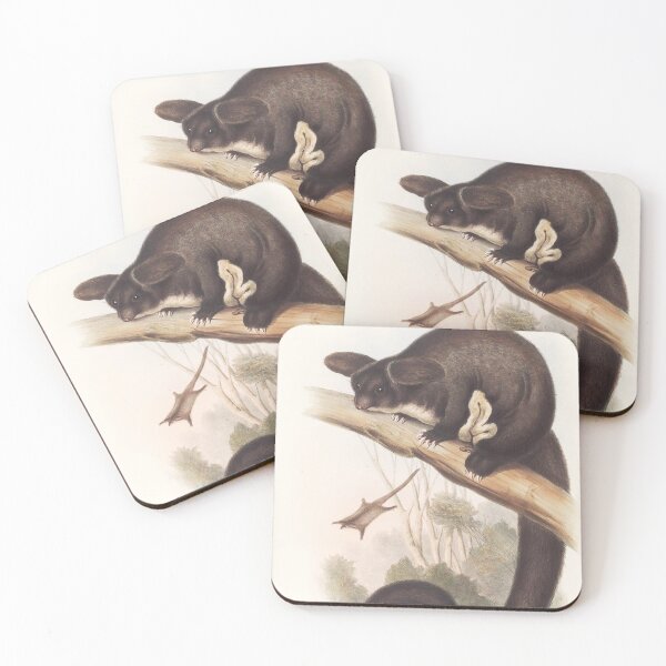 Artikelvorschau, Long eared flying squirrel illustration Australian animals series entworfen und verkauft von Vintage Designs +.