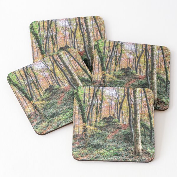 Item preview, Autumn (Fageda d’en Jordà, Catalonia) designed and sold by Marc Garrido Clotet.