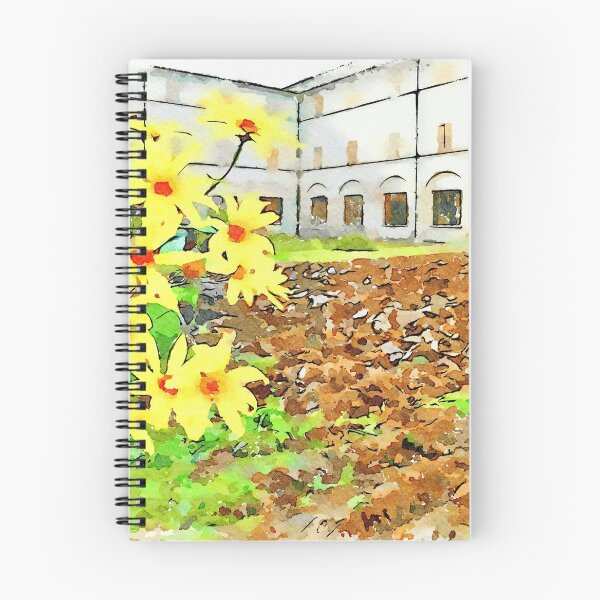 Item preview, Istituto Emiliani: yellow flowers with plowed field inside cloister of the convent designed and sold by Giuseppe Cocco.