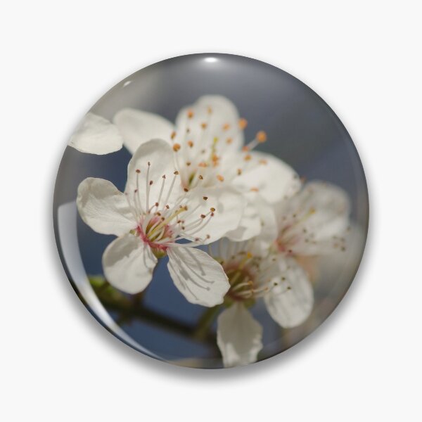 Artikelvorschau, Plum blossom entworfen und verkauft von Nicole W..