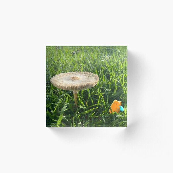 Finding Home Acrylic Block