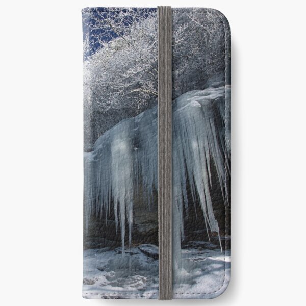 Ice iPhone Wallet
