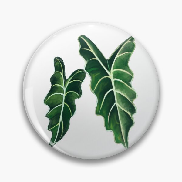 Item preview, Alocasia Polly designed and sold by HazedEnConfused.