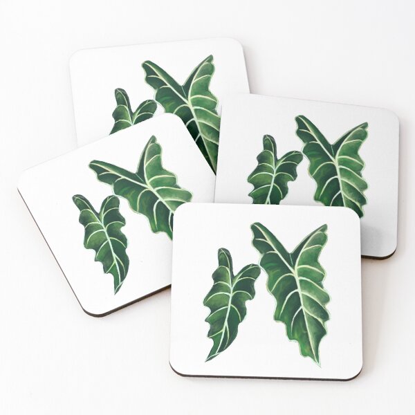 Item preview, Alocasia Polly designed and sold by HazedEnConfused.