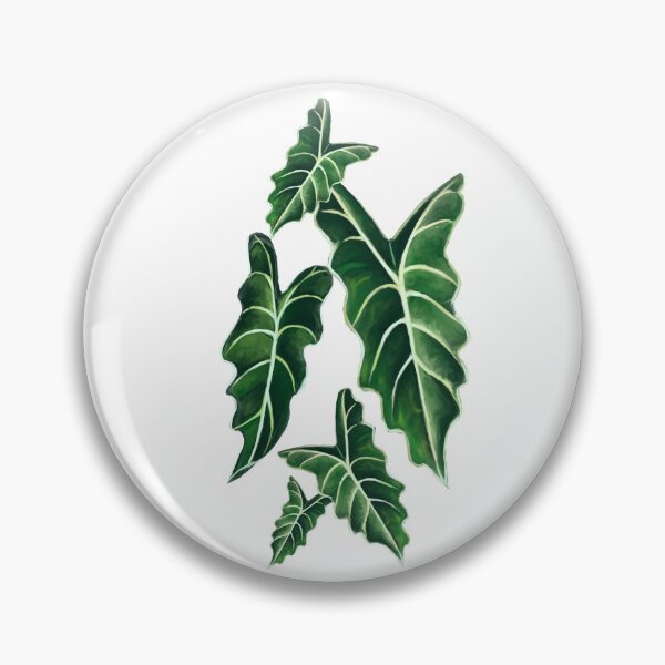 Item preview, Alocasia Polly designed and sold by HazedEnConfused.