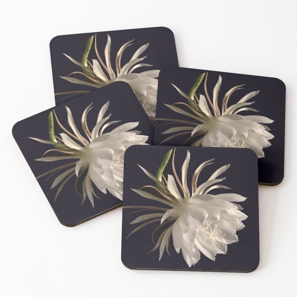 Item preview, Night Blossom designed and sold by qlajt.