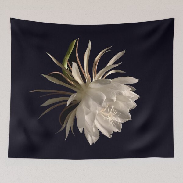 Item preview, Night Blossom designed and sold by qlajt.