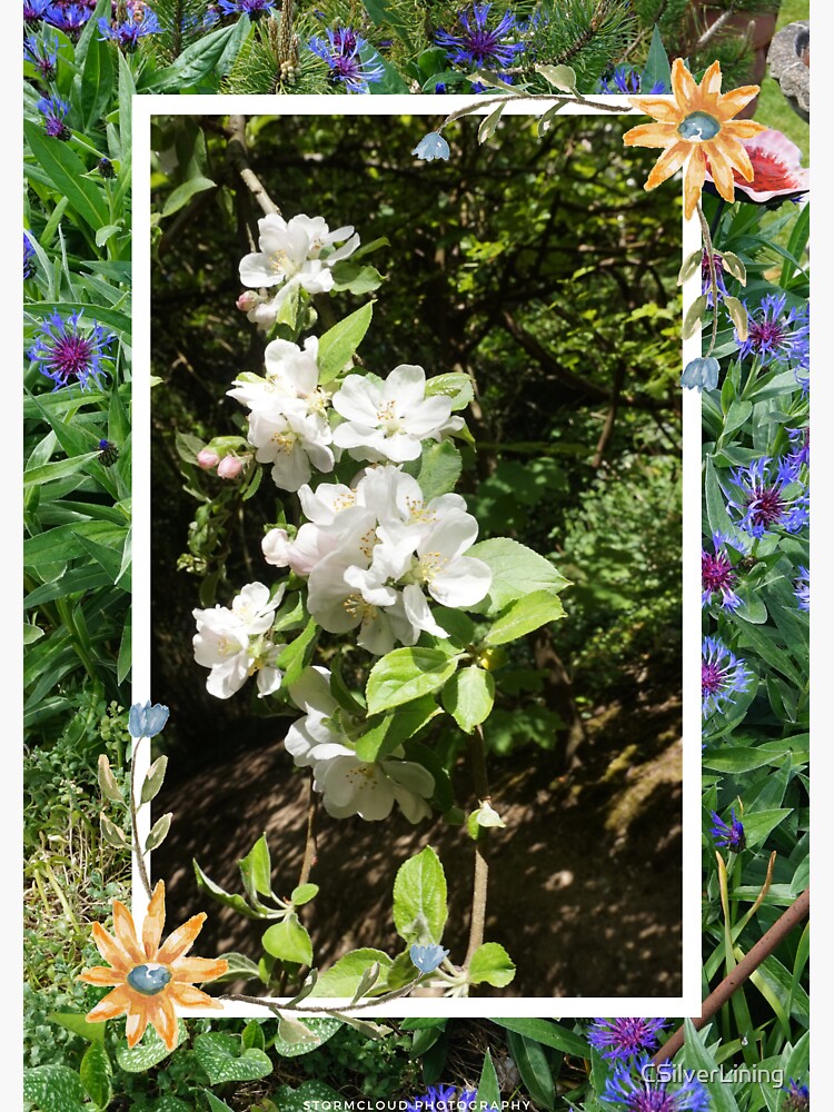 "You Can Never Have Too Many Flowers" Sticker for Sale by CSilverLining