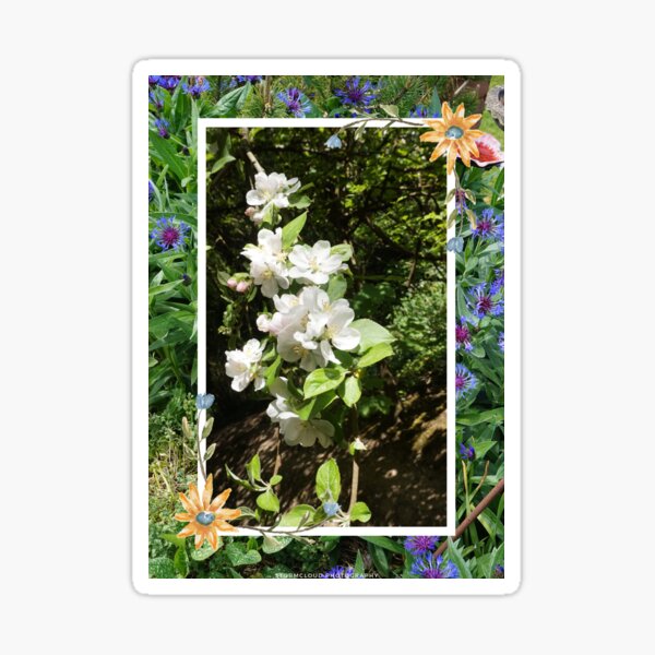 "You Can Never Have Too Many Flowers" Sticker for Sale by CSilverLining