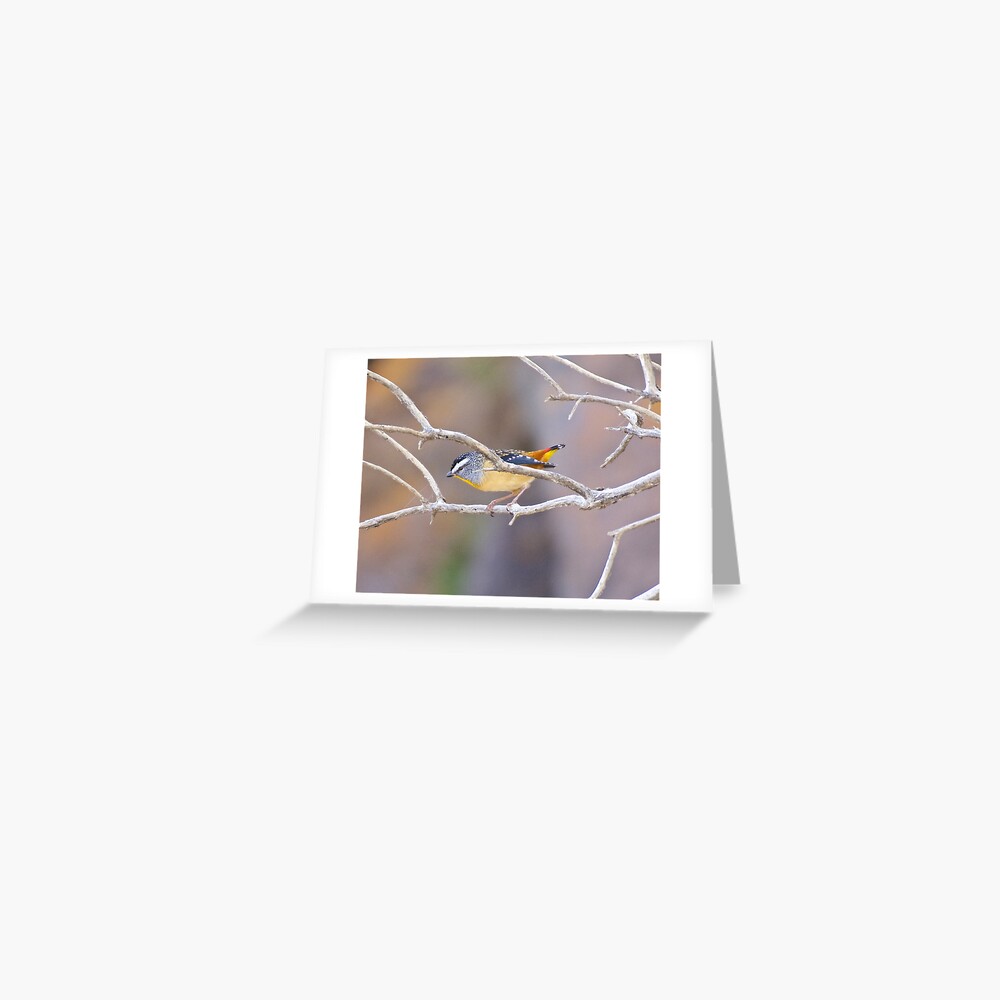 Item preview, Greeting Card designed and sold by tasmanianartist.