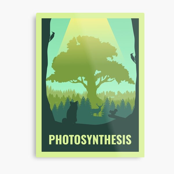 Photosynthèse - Jeu de société - Style d'affiche de voyage minimaliste - Art du jeu Impression métallique