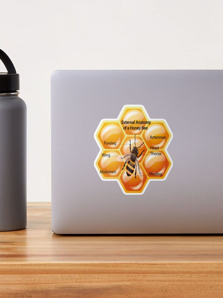 Honey bees Sticker for Sale by pikaole