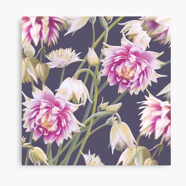 Nora Barlow Aquilegia Flowers Canvas Print
