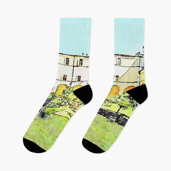 Item preview, Istituto Emiliani: garden of the cloister of the convent designed and sold by Giuseppe Cocco.