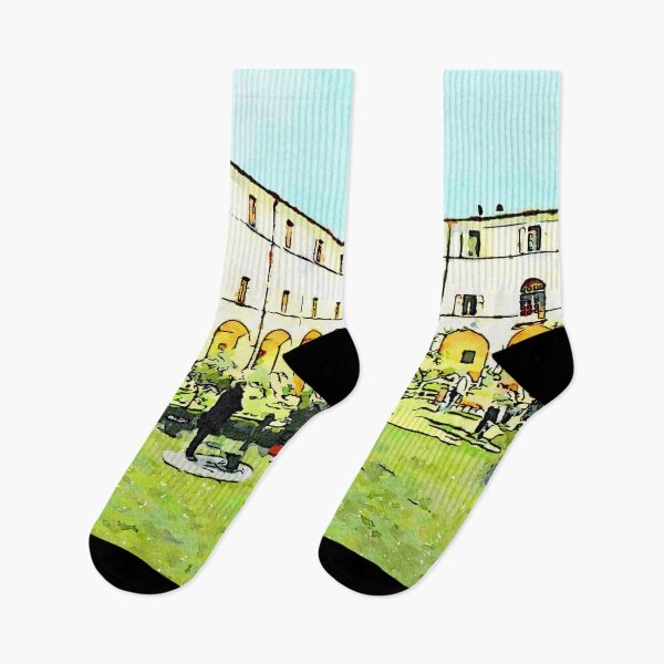 Item preview, Istituto Emiliani: garden of the cloister of the convent designed and sold by Giuseppe Cocco.
