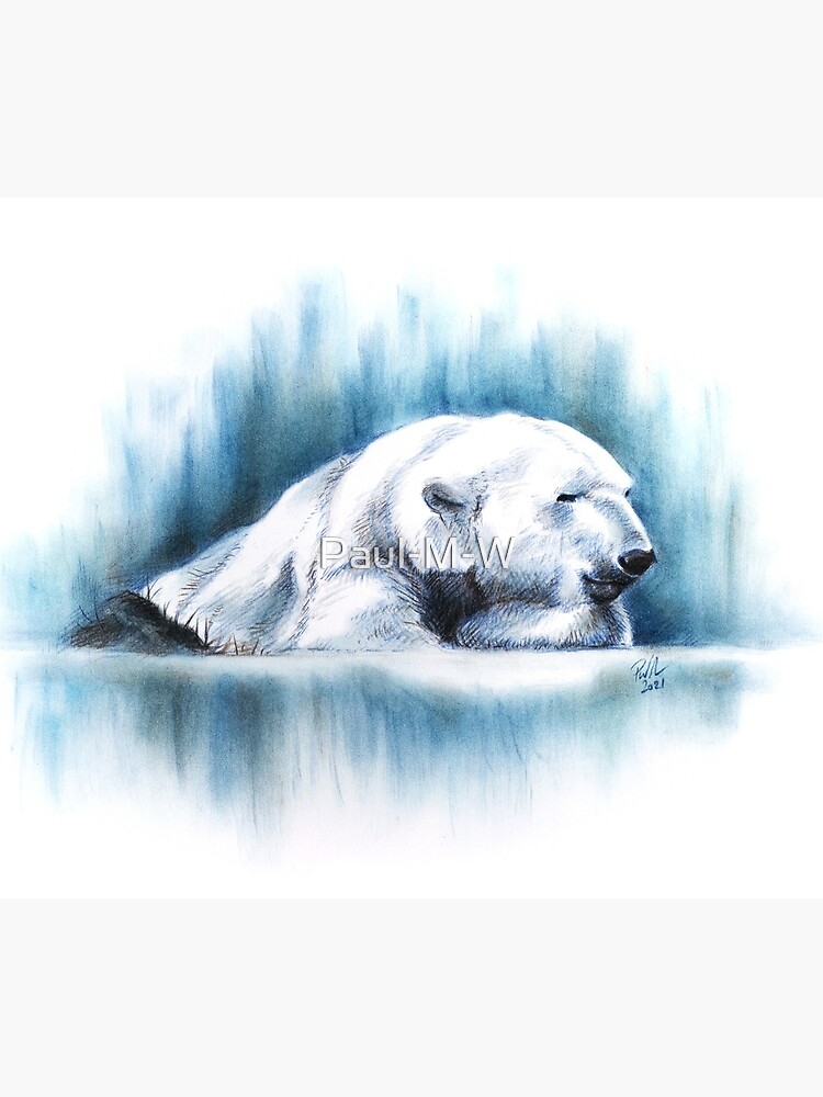 Just Chillin', Polar Bear Pastel Drawing, Print, Greeting Card, Mug, Coasters, and Cushions by Paul-M-W