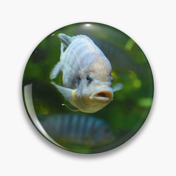 Item preview, Malawi Cichlid striped stripey Fish Aquarium designed and sold by Tezoodle Art.