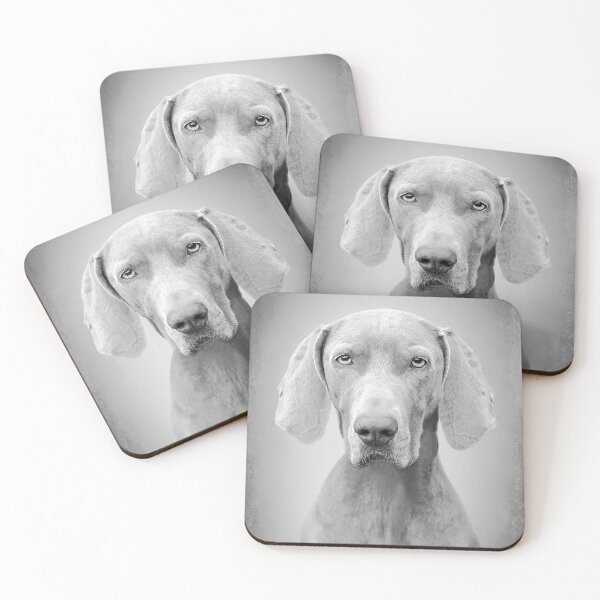 Item preview, Weimaraner dog - BW Vintage - D52 designed and sold by DecoVintage.