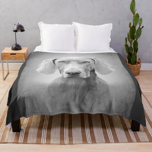 Item preview, Weimaraner dog - BW Vintage - D52 designed and sold by DecoVintage.
