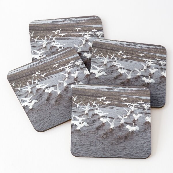 Item preview, White swans on a muddy field designed and sold by Nielsendk.