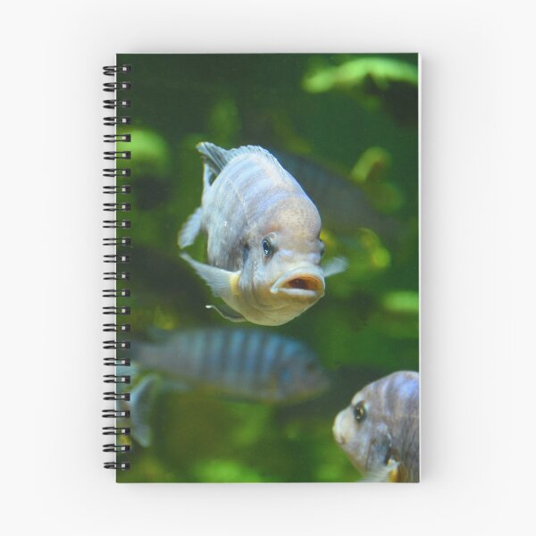Item preview, Malawi Cichlid striped stripey Fish Aquarium designed and sold by Tezoodle Art.