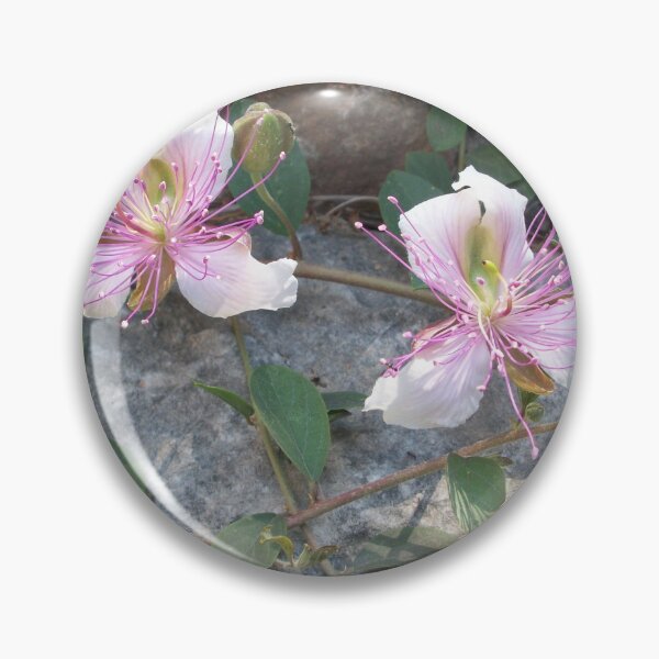 Item preview, Caper flower designed and sold by Kriti68.