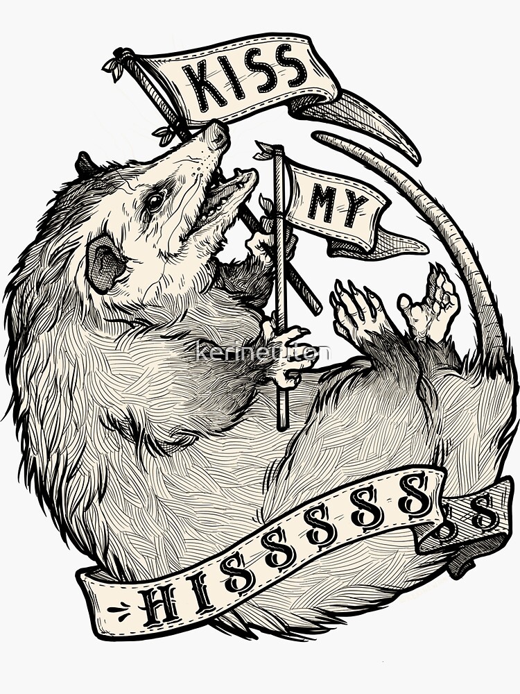 Kiss My Hiss Opossum Sticker By Kerinewton Redbubble 