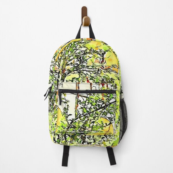 Item preview, Istituto Emiliani: garden of the cloister of the convent designed and sold by Giuseppe Cocco.