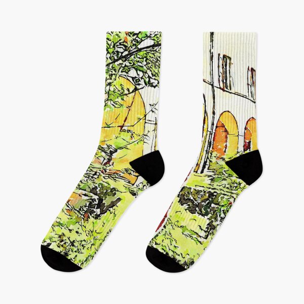 Item preview, Istituto Emiliani: garden of the cloister of the convent designed and sold by Giuseppe Cocco.
