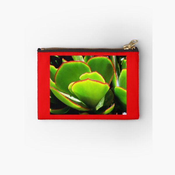 Item preview, Succulent - PADDLE PLANT or Aeonium Tree designed and sold by EdsMum.