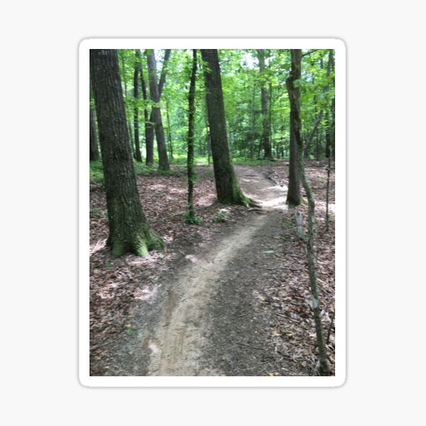 Item preview, Winding dirt nature trail  designed and sold by Taleta Hollis.