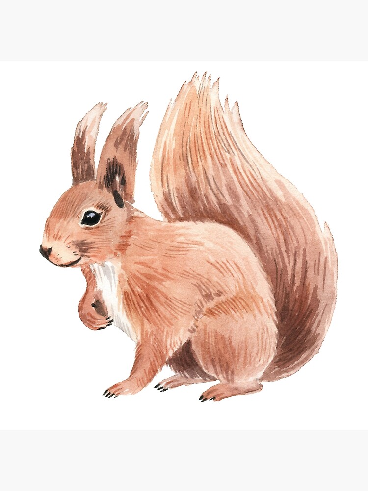 First Squirrel Drawing of 2022 – Dan Tabata