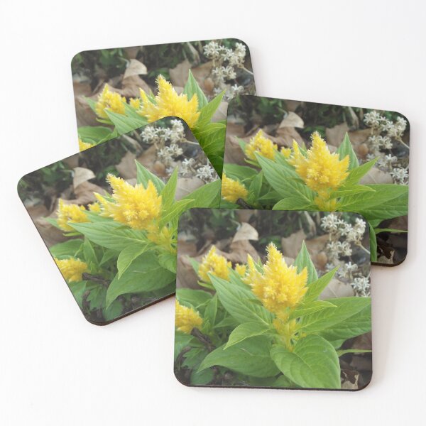 Item preview, Yellow celosia designed and sold by greentiger1.