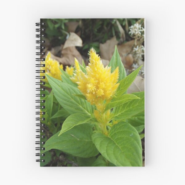 Item preview, Yellow celosia designed and sold by greentiger1.