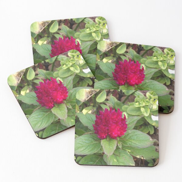 Item preview, Red celosia designed and sold by greentiger1.