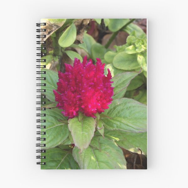 Item preview, Red celosia designed and sold by greentiger1.