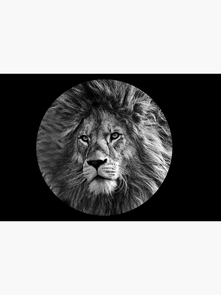"Black and White Lion" Poster for Sale by FaunaGallery Redbubble
