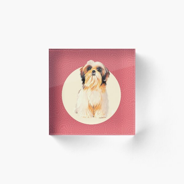 Cute Shih-Tzu dog illustration with fun colors Acrylic Block