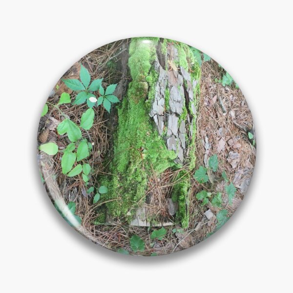 Artikelvorschau, Green mossy covered log surrounded by foliage entworfen und verkauft von Taleta Hollis.