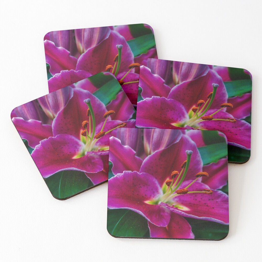 Item preview, Coasters (Set of 4) designed and sold by InShinFrog.