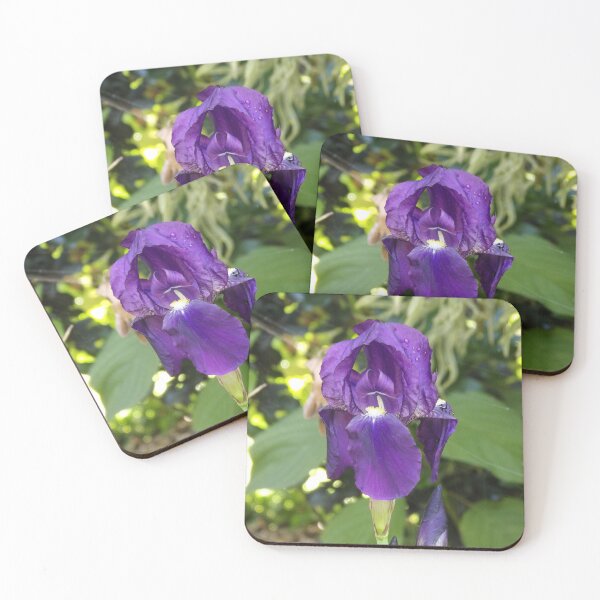 Item preview, Purple iris designed and sold by greentiger1.