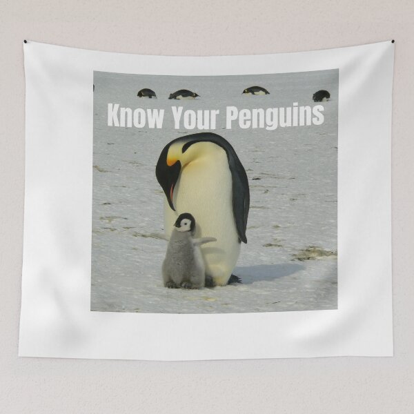 Item preview, Know Your Penguins designed and sold by jlicero.