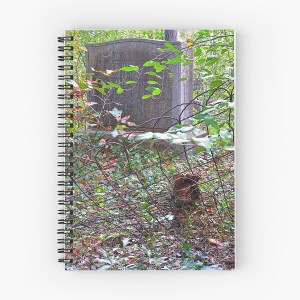 Item preview, The Forgotten Grave designed and sold by LisaWootenPhoto.