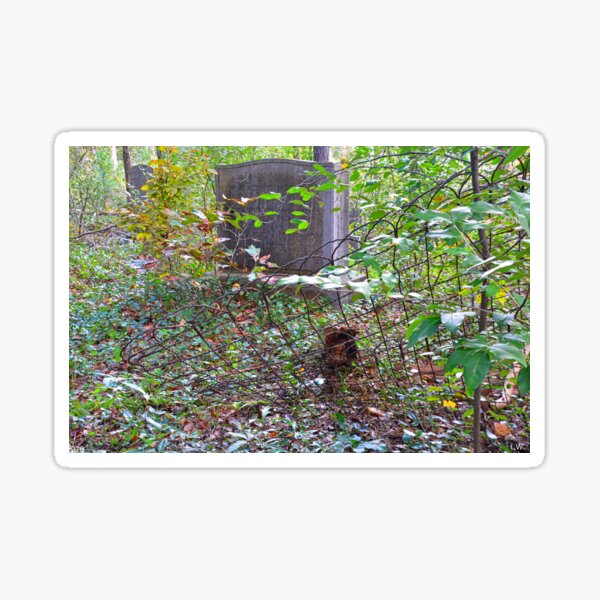 Item preview, The Forgotten Grave designed and sold by LisaWootenPhoto.