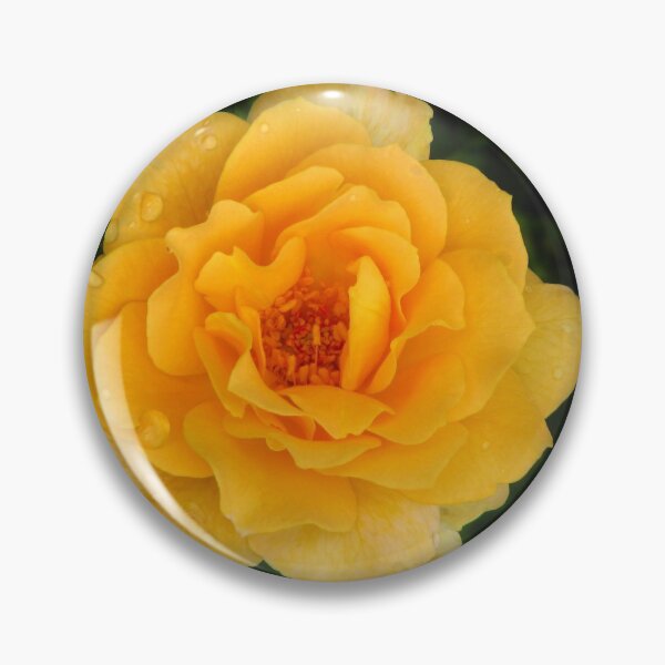 Item preview, Peach Rose designed and sold by David D. Shaw.
