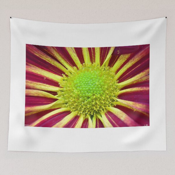 Item preview, Chrysanthemum Face designed and sold by LisaWootenPhoto.