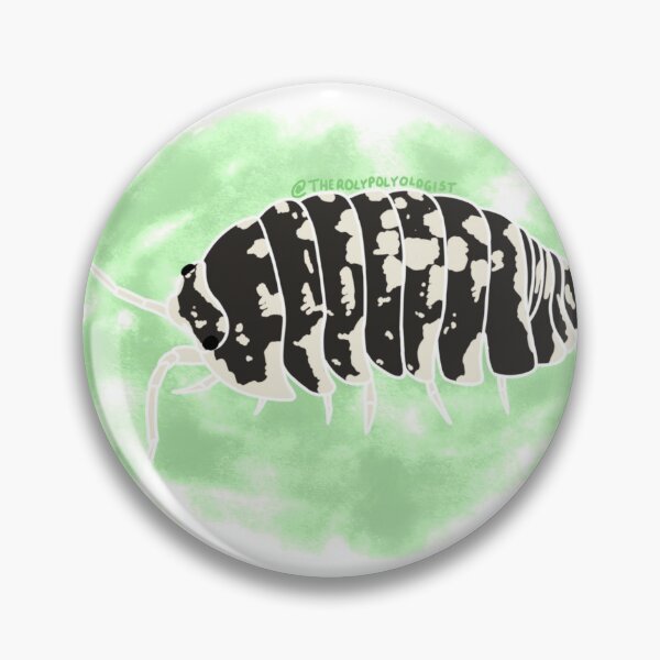 Item preview, Round Zebra Isopod with Green Background designed and sold by rolypolyologist.