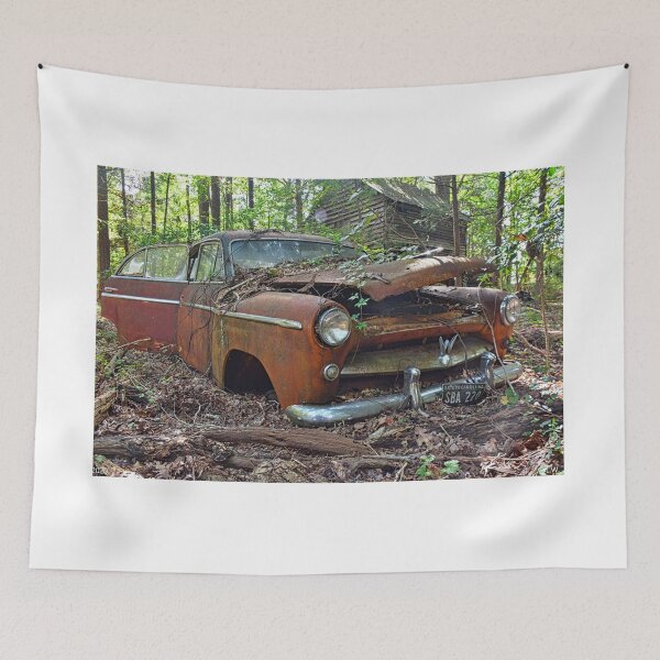 Item preview, Willy's Aero Abandoned 2 designed and sold by LisaWootenPhoto.